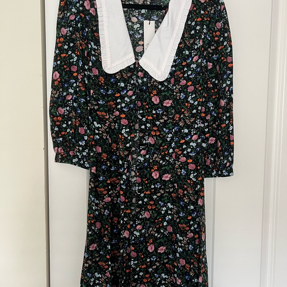 Nobody’s Child Floral Dress with White Collar